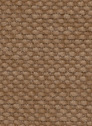 Fern 37 Pale Orange