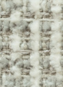 Aster 196 Shell