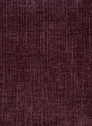Altera 19 Purple