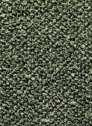 OBLIS MOSS 84