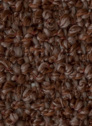 Daisy 128 Terracotta