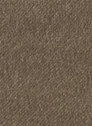 Regency 174 Taupe