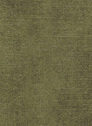 Aquila 59 Moss