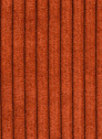 Cord 303 Roest