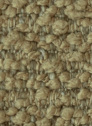 Daisy 16 Camel