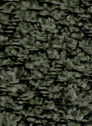 Andermaat 751 Olive