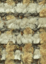 Aster 06 Mustard