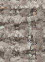 Aster 200 Pale Pink