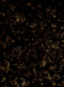 Andermaat 08 Brown