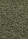 SVM CARTEL RAVI FOREST 162