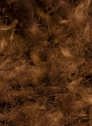 Plush 126 Copper