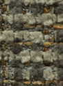 Aster 176 Sepia
