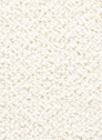 SVM CARTEL RAVI IVORY 101