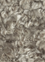 Violet 10 Taupe