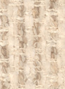 Avento 06 Beige