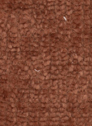 Harmony 52 Copper