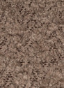 Touch 03 Light Brown