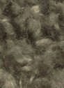 Plush 109 Olive