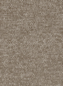 Venro 34 Latte