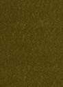 Regency 162 Forest