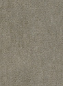 Juva 124 Shitake