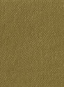 Regency 52 Pistachio