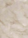 Plush 02 Cream